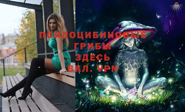 мет Белокуриха