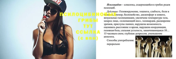 молекула духа Беломорск