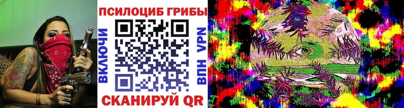 Псилоцибиновые грибы Psilocybe  закладки  Красный Сулин 